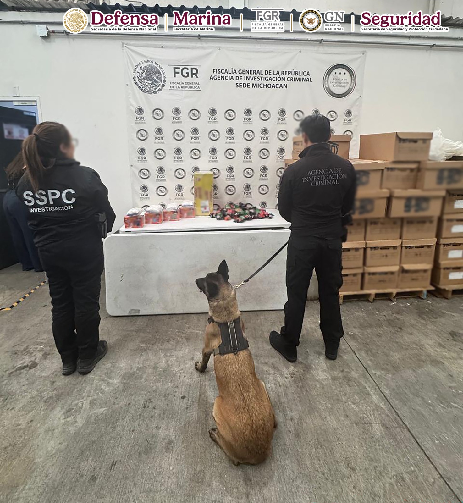 En Michoacán, autoridades federales aseguran metanfetamina oculta en paquetes de dulces en una empresa de mensajería